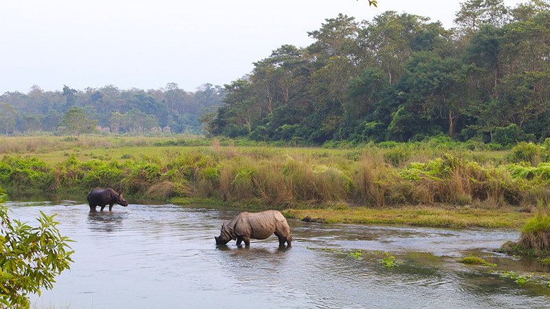 Chitwan Nationalpark